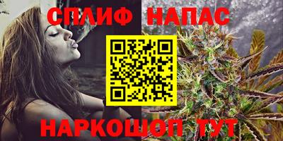 дмт Нарткала