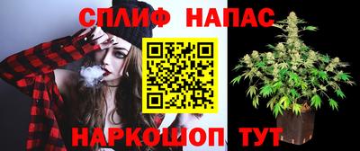 дмт Нарткала