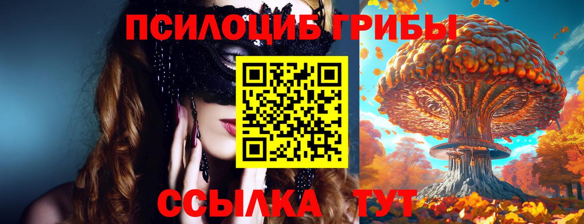 Галлюциногенные грибы GOLDEN TEACHER  Вход с VPN  Юрга 